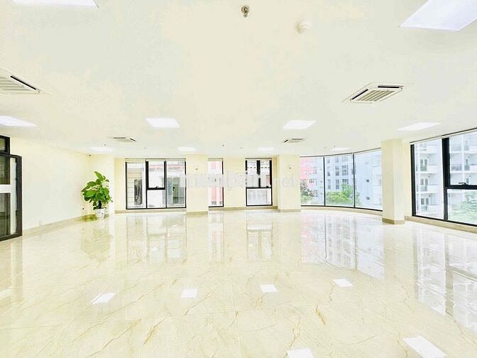Chính chủ cho thuê sàn vp tại Phạm Tuấn Tài 150m2 giá 33t view cực đep