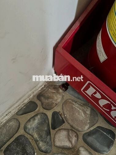 phòng trọ 15m2 đường Nhật Tảo, Q.10