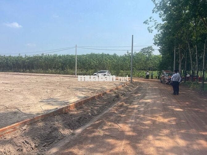BÁN GẤP LÔ ĐẤT ĐẸP CHÍNH CHỦ – ĐƯỜNG LÒ GẠCH