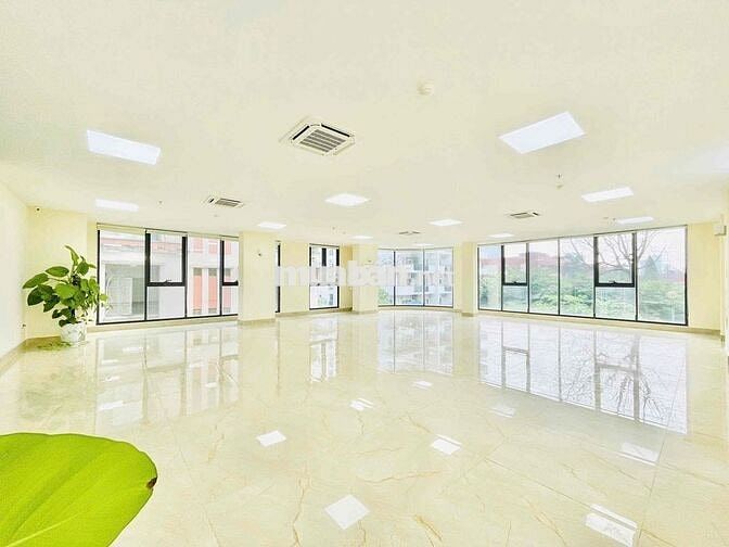 Chính chủ cho thuê sàn vp tại Phạm Tuấn Tài 150m2 giá 33t view cực đep