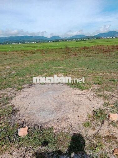 Cần bán gấp lô đất thổ cư 150m2