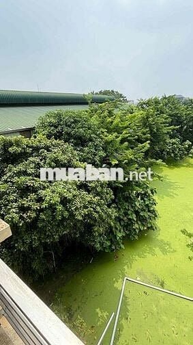 Bán lô đất nhà ở, siêu thị, xưởng 12.800 m2, Quốc Lộ 2, Phù Lỗ