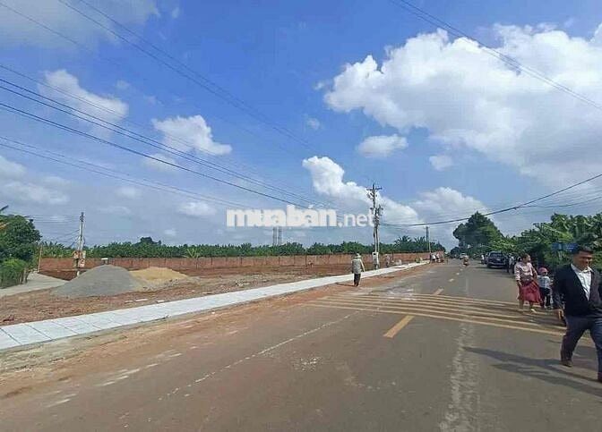 Bán nhanh lô đất 2.591m² Cây Gáo, Trảng Bom-Sổ Sẵn