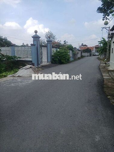 CẦN BÁN ĐẤT ĐÔNG CÁC ĐOÀN ĐÀO PHÙ CỪ