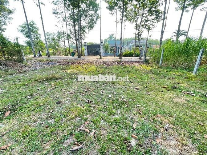 Thái Mỹ 500m² có 300m thổ mặt tiền đường Phạm Thị Liền. giá 1,85 tỷ