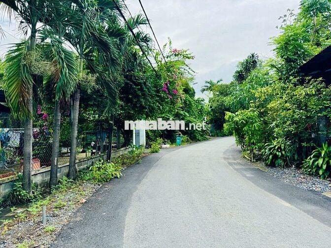 BÁN LÔ ĐẤT SIÊU ĐẸP 200M2 NGANG 8M NGAY TRƯỜNG TIỂU HỌC PHƯỚC VĨNH AN