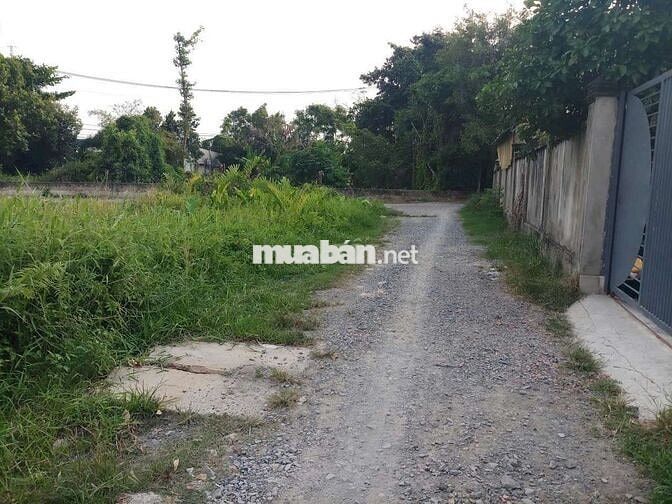 Đất Kế bên nhà VHTDTT BM 137m2 full thổ, rộng 5m, gần chợ, Vành Đai 3.