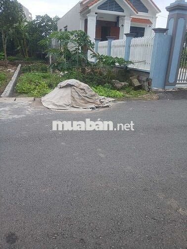 CẦN BÁN ĐẤT ĐÔNG CÁC ĐOÀN ĐÀO PHÙ CỪ