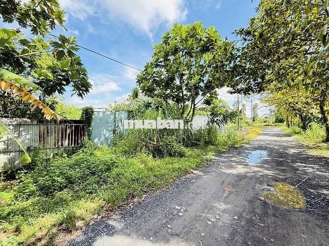 🌳 ĐẤT VƯỜN NGANG KHỦNG 19,2M – 955M² – VIEW SÔNG THOÁNG MÁT – 5.95TỶ