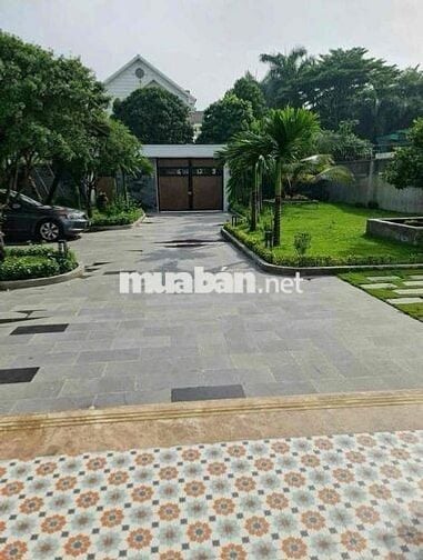 🏡✨ BIỆT THỰ GÓC 2 MẶT TIỀN – CỰC HIẾM TẠI TÂN THÔNG HỘI, CỦ CHI ✨🏡