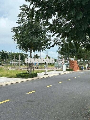 NẾU CHỐT CỌC. TẶNG LUÔN TÁO 17