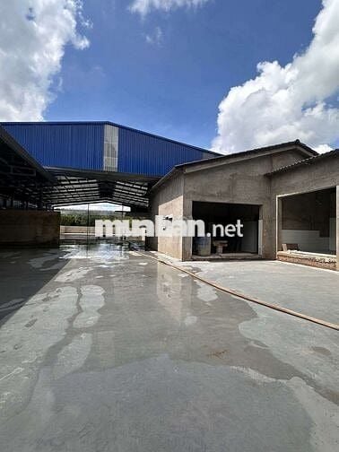 Xưởng cho thuê ngoài KCN ĐỨC Hòa Long An giá 100tr/tháng