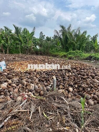 Bán Nền 140m2 Thổ Cư trung tâm thị Trấn Ngã Sáu, Châu Thành.