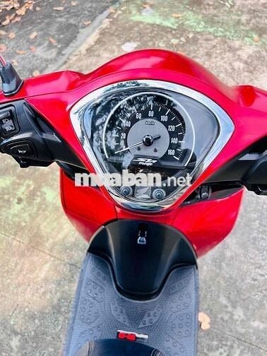 ah 2022 cọp 10 ngàn