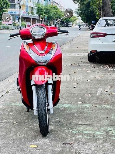 ah 2022 cọp 10 ngàn