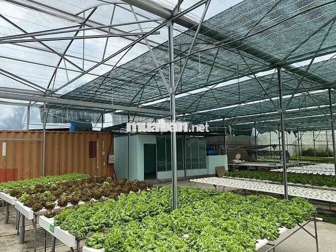 Bán đất tại Đường Vườn Thơm Bình Chánh Đã có sổ.