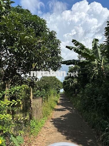 BÁN ĐẤT PHƯỜNG BÌNH LỘC TỈNH ĐỒNG NAI CÁCH CAO TỐC CHỈ 200M