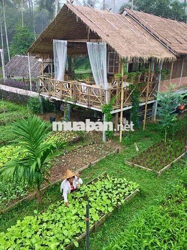 300m2 NGỘP CẦN BÁN GẤP TẠI TRUNG TÂM PHƯỜNG