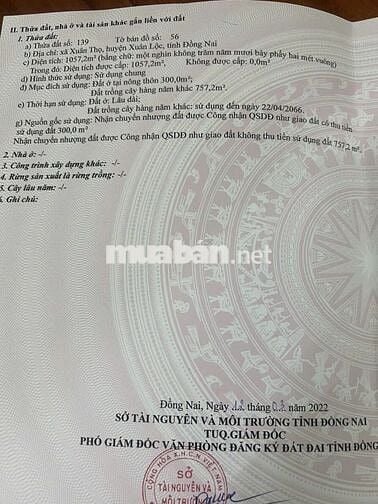 🌿 BÁN ĐẤT ĐẸP TẠI XUÂN THỌ – XUÂN LỘC, ĐỒNG NAI 🌿