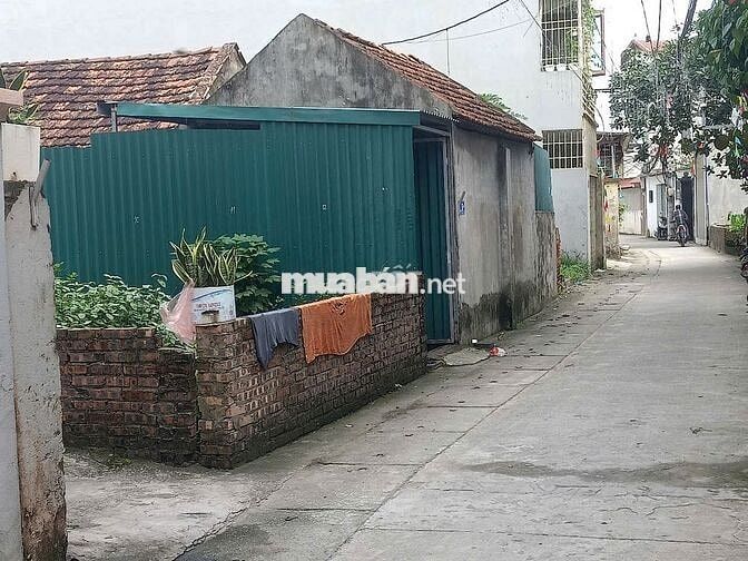 CẦN BÁN MẢNH ĐẤT CHÍNH CHỦ SIÊU ĐẸP -SIÊU HIẾM -Đường Đại cát CẦN BÁN MẢNH ĐẤT CHÍNH CHỦ SIÊU ĐẸP -SIÊU HIẾM -Đường Đại cát