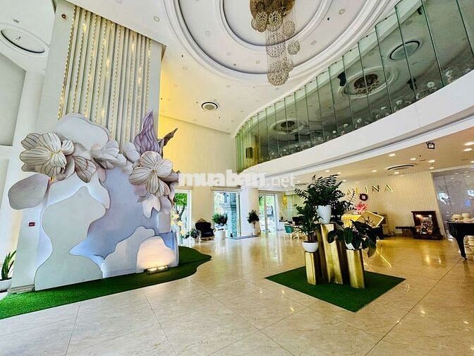 DT 22 x 25m  Hầm 8Lầu  3/Thang Máy  2/Thang Bộ PCCC, MPE