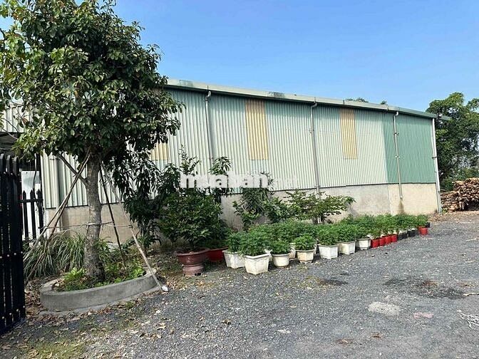 Nhà kho cho thuê mặt tiền đường bộ và đường sông