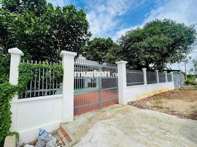 🌿 BÁN NHÀ VƯỜN ĐẸP – GIÁ TỐT TẠI PHƯỚC THẠNH (XÃ THÁI MỸ MỚI), CỦ CHI