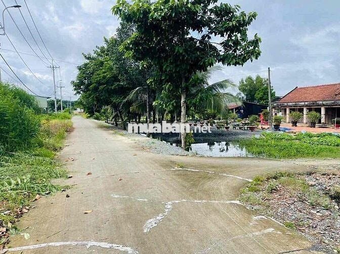 🌿 BÁN NHÀ VƯỜN ĐẸP – GIÁ TỐT TẠI PHƯỚC THẠNH (XÃ THÁI MỸ MỚI), CỦ CHI