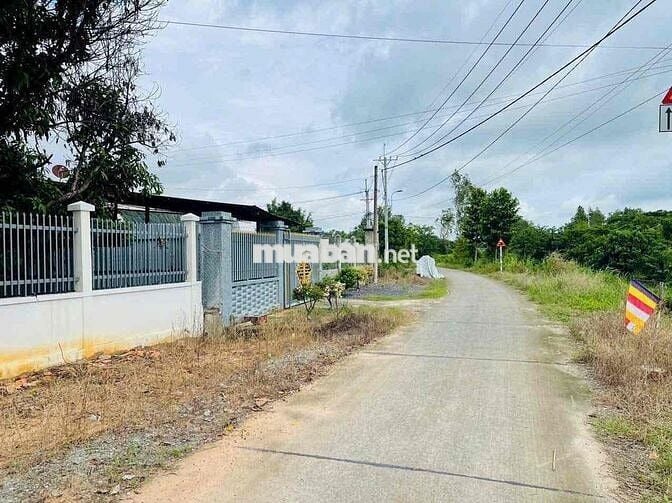 🌿 BÁN NHÀ VƯỜN ĐẸP – GIÁ TỐT TẠI PHƯỚC THẠNH (XÃ THÁI MỸ MỚI), CỦ CHI