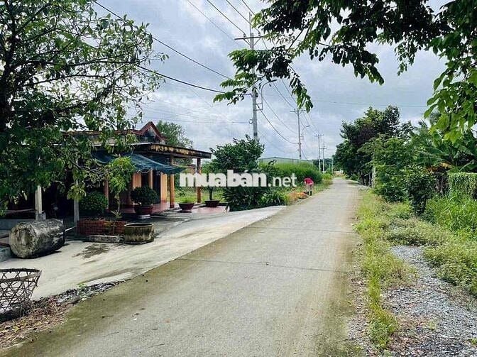 🌿 BÁN NHÀ VƯỜN ĐẸP – GIÁ TỐT TẠI PHƯỚC THẠNH (XÃ THÁI MỸ MỚI), CỦ CHI
