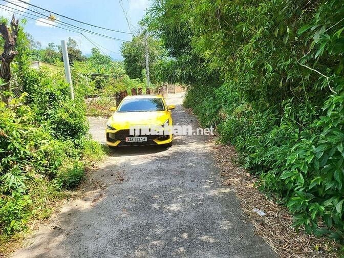 Bán 1 lô đất ở đường bê tông 3,5m như hình