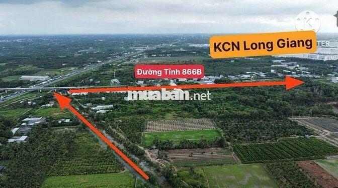 2 Công 5 CHỈ 1 TỶ 300 TRIỆU / 1000m² ĐẤT NHỰA GẦN KCN LONG GIANG