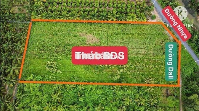 2 Công 5 CHỈ 1 TỶ 300 TRIỆU / 1000m² ĐẤT NHỰA GẦN KCN LONG GIANG