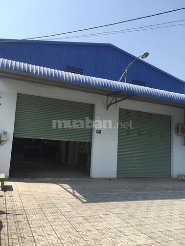 CHO THUÊ XƯỞNG THỊ TRẤN CỦ CHI NGAY KHU CN TÂY BẮC 1000M