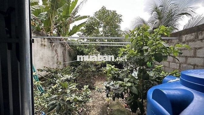 Bán Lại Nhà Đang Ở tại Thị Trấn Tân Hiệp full Nội Thất