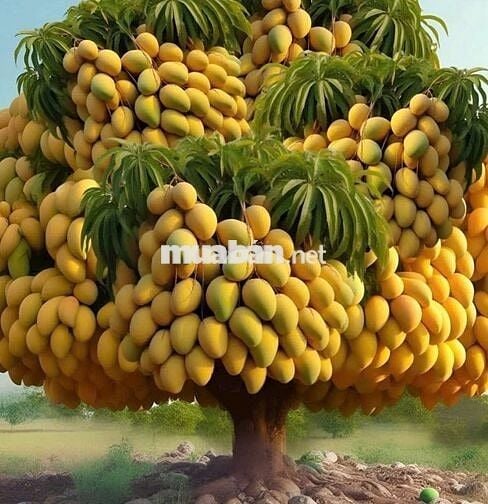 Ali cần share nguyên tầng 1 ưu tiên nữ nam NVVP, độc thân