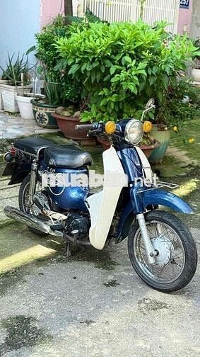 Cub 50cc ko cần bằng lái bstp chính chủ công chưng