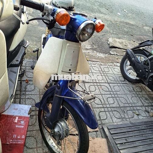 Cub nhật 81 chính chủ biển 5 số