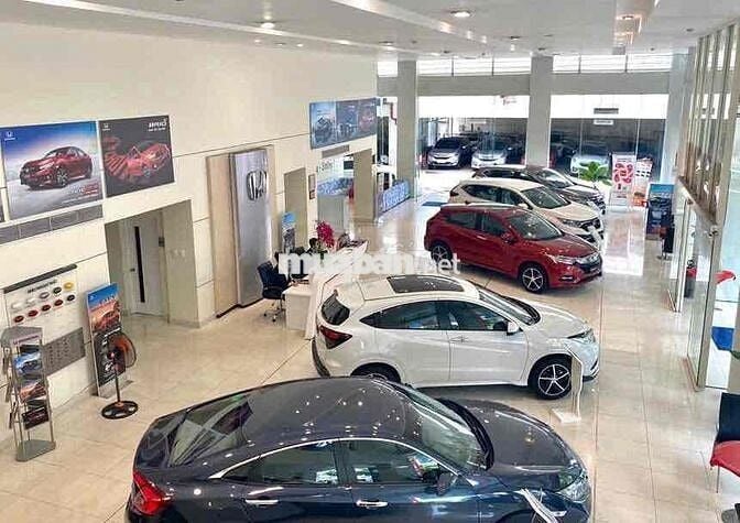 ✅ TOÀ NHÀ CHO THUÊ CỘNG HOÀ P4. TB