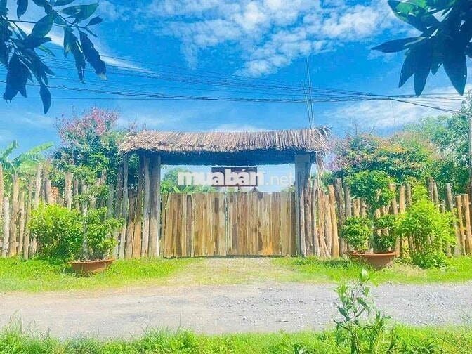 Mua Bán Nhà Đất Khu Vực Nhơn Trạch Theo Yêu Cầu Khách Hàng.