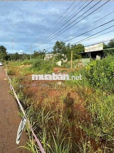 Bán lô đất siêu rộng 8200m2 đã lên 200m2 thổ cư sổ hồng sẵn