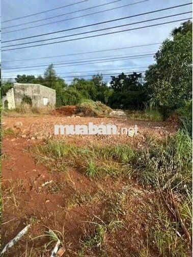 Bán lô đất siêu rộng 8200m2 đã lên 200m2 thổ cư sổ hồng sẵn