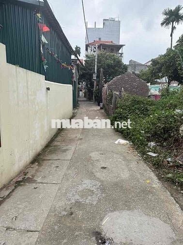 Đất Đại Cát - 43m2 - mt: 3.6m vị trí đẹp - giá nét cho ae đầu tư hoặc Đất Đại Cát - 43m2 - mt: 3.6m vị trí đẹp - giá nét cho ae đầu tư hoặc