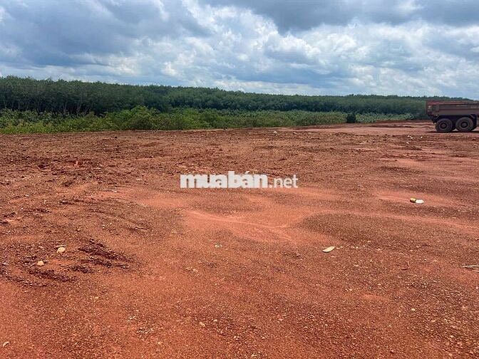 Nay em có đất ngay đường liên xã 18m dt 1000m2 giá 320tr