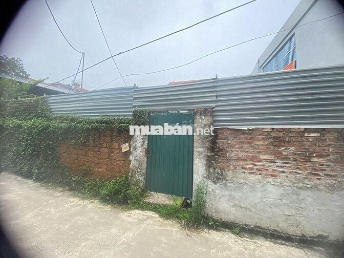 Cần Bán Nhanh Lô Đất Full Thổ Cư Trung Tâm Ngọc Bài, Quốc Oai, Hà Nội