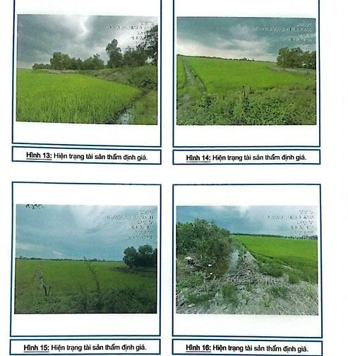 Bán 17.200m2 đất trồng cây hàng năm khác tại X. Tân Thành, Mộc Hóa, Lo