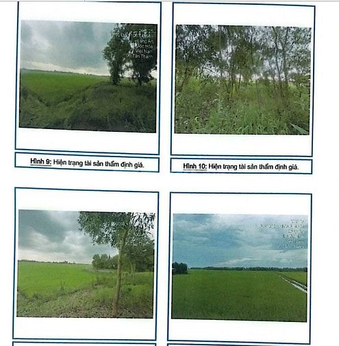 Bán 17.200m2 đất trồng cây hàng năm khác tại X. Tân Thành, Mộc Hóa, Lo