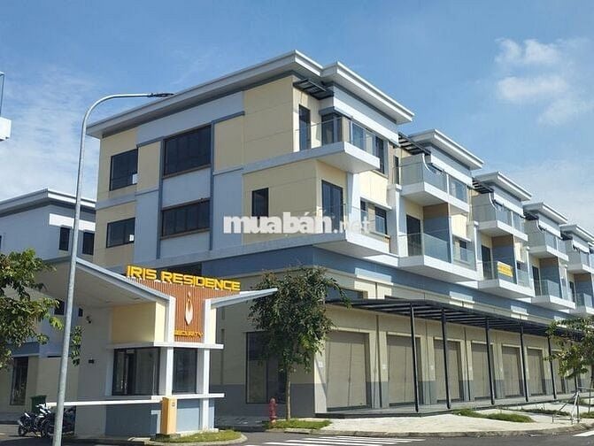 Bán căn góc Shophouse mặt tiền QL 50 dự án Iris Residence, Cần Giuộc.