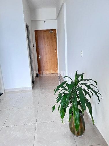 Căn hộ 60m², 1 phòng ngủ, ban công thoáng – sổ hồng riêng, vào ở ngay