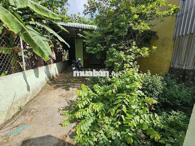 Đất 105m2(ngang6) KDC Đất Mới,gần ngã tư Chiêu Liêu,,tặng nhà cấp 4